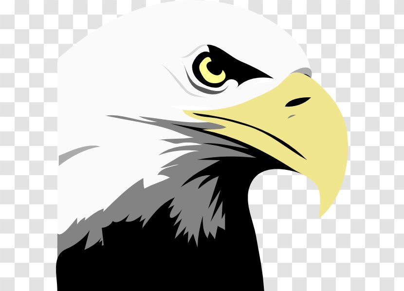 Bald Eagle Royalty-free Clip Art - Bird - Fewer Cliparts Transparent PNG