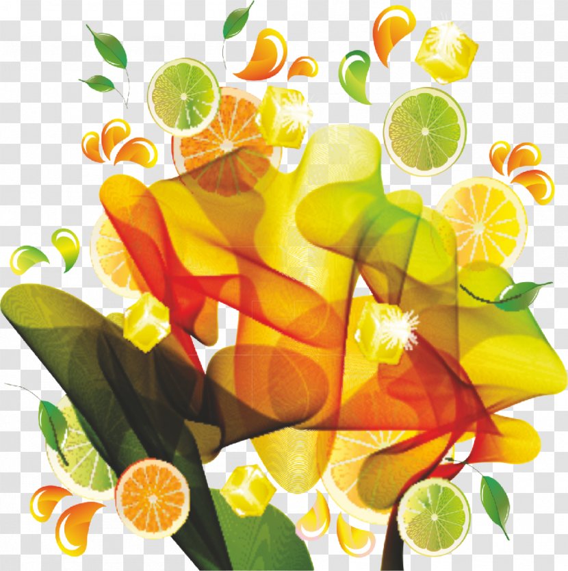 Orange Juice Lemon Grapefruit - Plant - BAKLAVA Transparent PNG