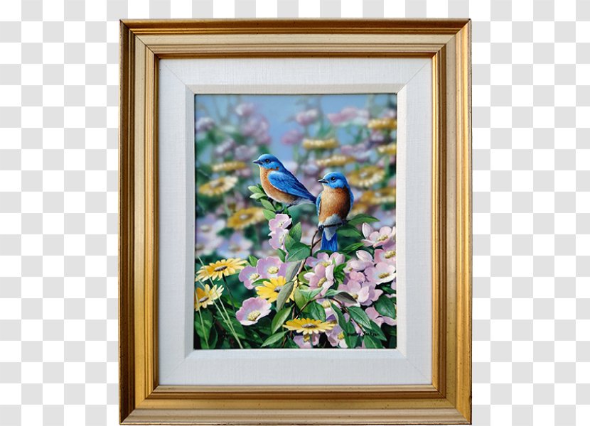 Bird Still Life Painting Art - Western Bluebird - Eastern Transparent PNG