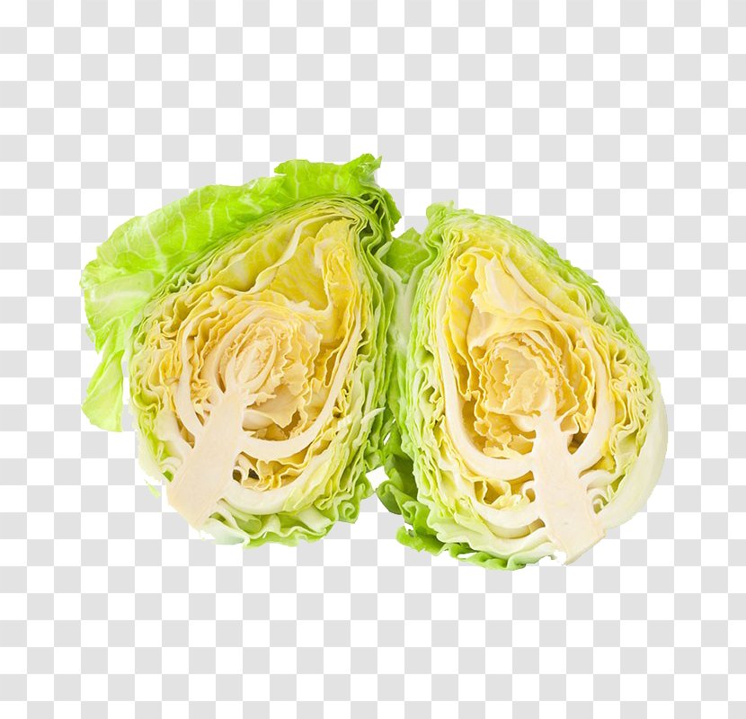 Savoy Cabbage Romaine Lettuce - Food - Cross Section Of Fresh Transparent PNG