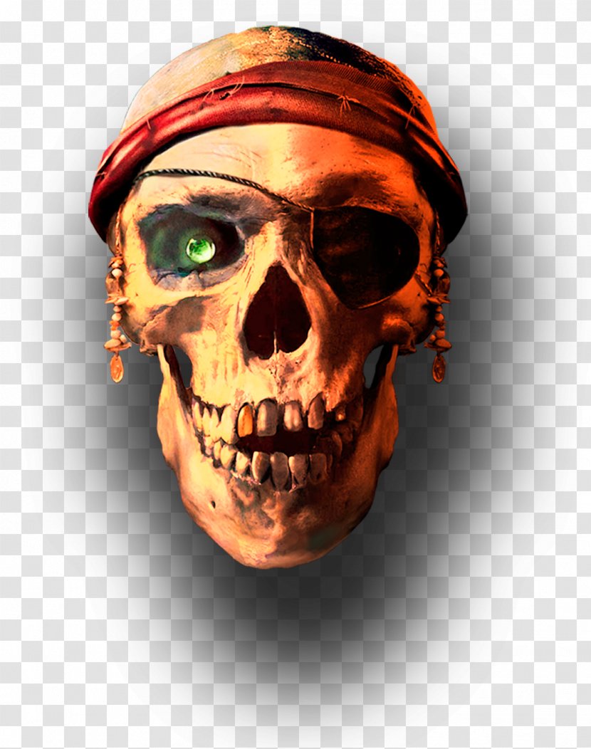 Skull APUS Group Jolly Roger - Apus - Pirate Transparent PNG