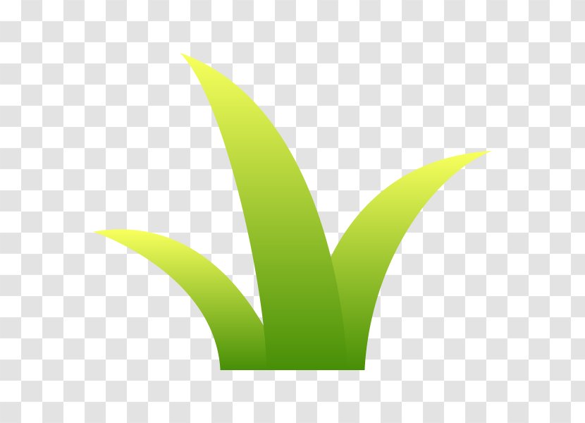 Leaf Logo Font Desktop Wallpaper Plant Stem Transparent PNG