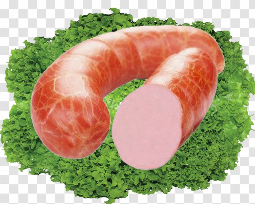 Bratwurst Sausage Hot Dog Ham Bacon - Kielbasa - Dogs And Take Their Food Material Transparent PNG