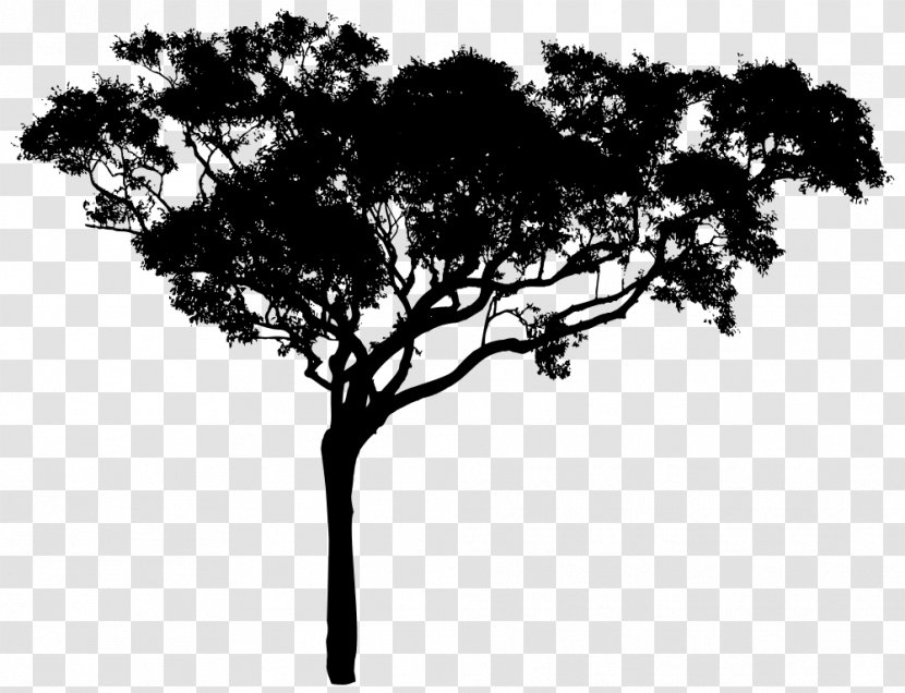 Tree Silhouette Clip Art - Branch Transparent PNG