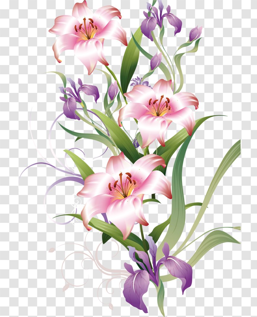 Bouquet Of Flowers Drawing - Purple - Bellflower Family Orchid Transparent PNG