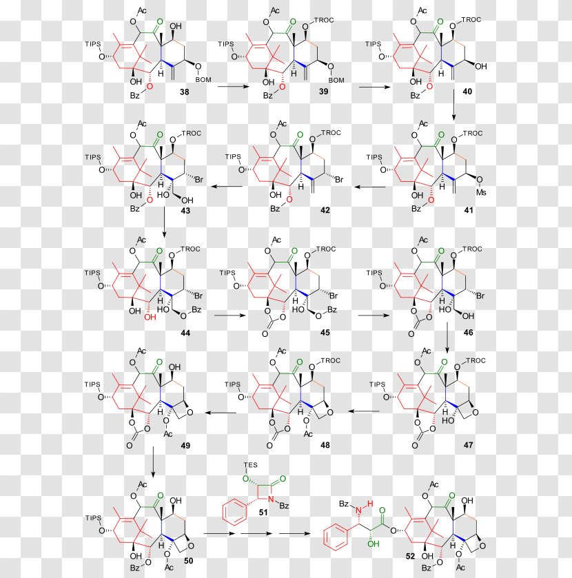 Paclitaxel Total Synthesis Wender Taxol Chemical - Convergent - Formed Transparent PNG