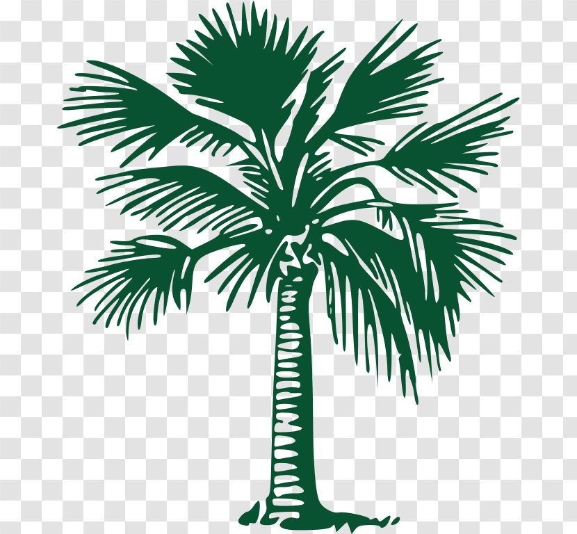 Elbow Beach Cycles Tree Arecaceae Return Address Gold Coast - Caronport - Date Palm Transparent PNG