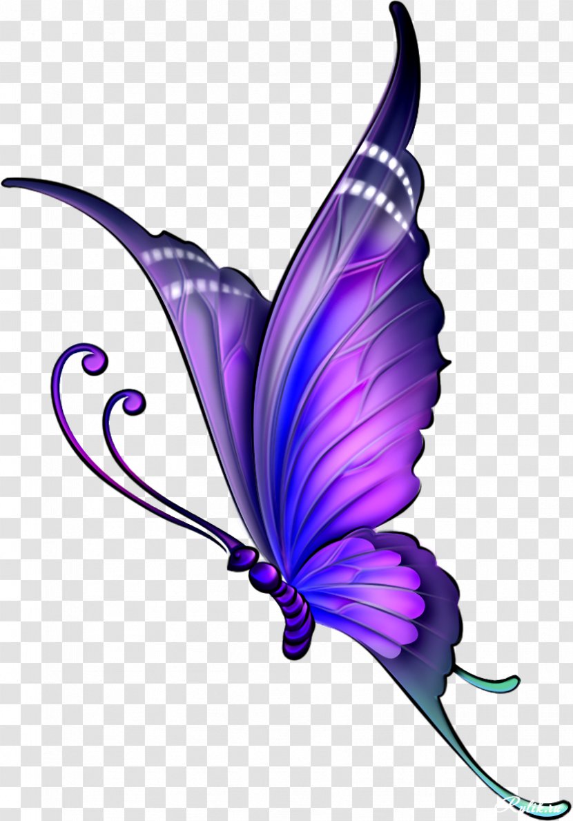 Butterfly Drawing Color Clip Art - Decoupage - Flying Transparent PNG