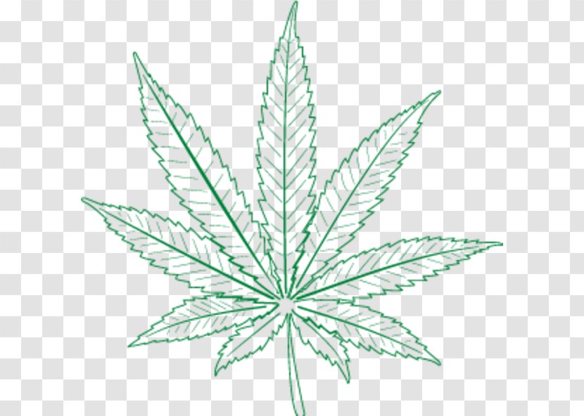 Cannabis Leaf Hemp Plant Stem Line Transparent PNG