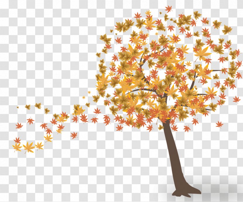 Autumn Leaf Color Genealogy Family - Petal - Branch Transparent PNG