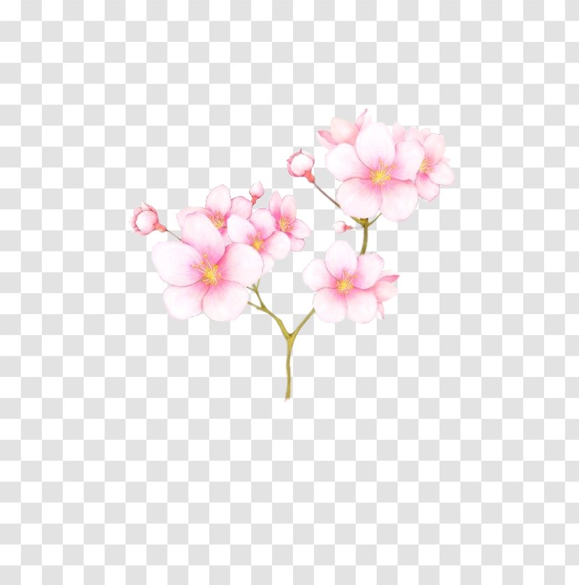 Gratis Clip Art - Template - Plum Flower Transparent PNG