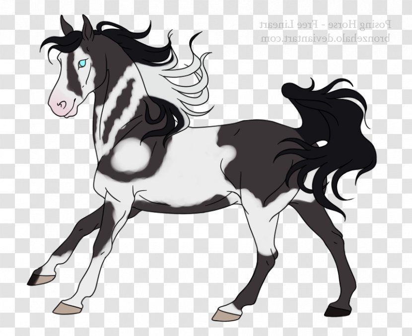 Mane Mustang Foal Stallion Pony - Tail Transparent PNG