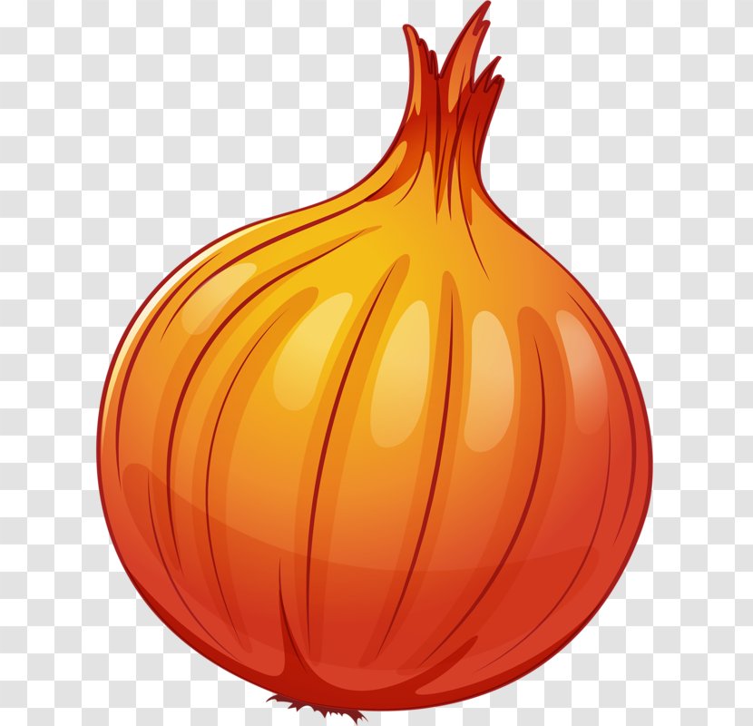 Clip Art - Food - Cartoon Onion Transparent PNG