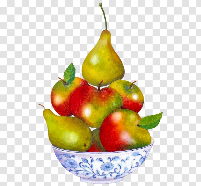 Pyrus Xd7 Bretschneideri Auglis Fruit Apple - Diet Food - Pear Transparent PNG