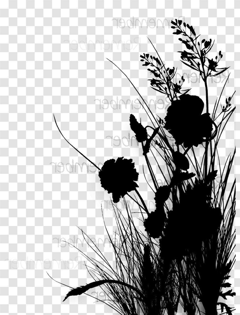 Insect Flowering Plant Silhouette Membrane - Monochrome - Branch Transparent PNG