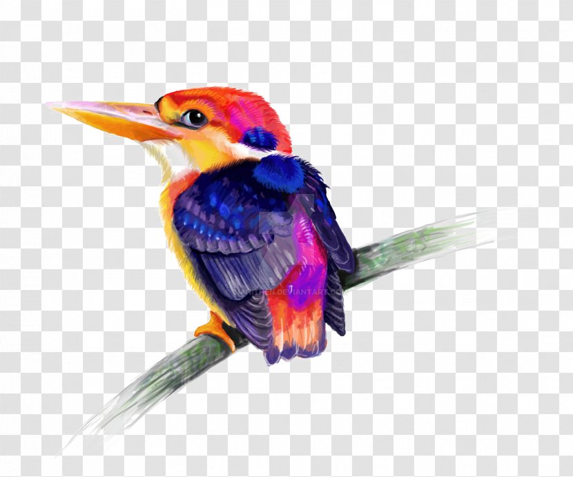 Bird Kingfisher Transparent PNG