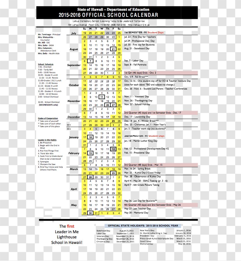 Document Line - Text Transparent PNG