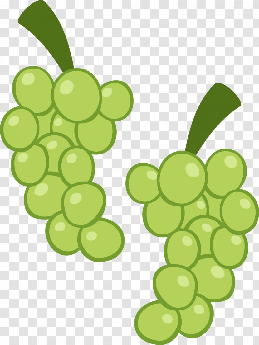 Common Grape Vine Food Seedless Fruit - Grapevine Family Transparent PNG