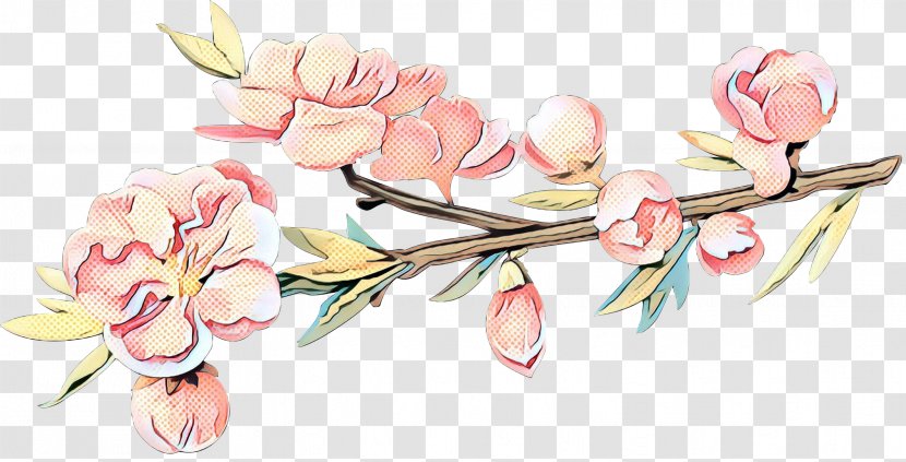 Floral Spring Flowers - Cherry Blossom - Plant Stem Magnolia Family Transparent PNG