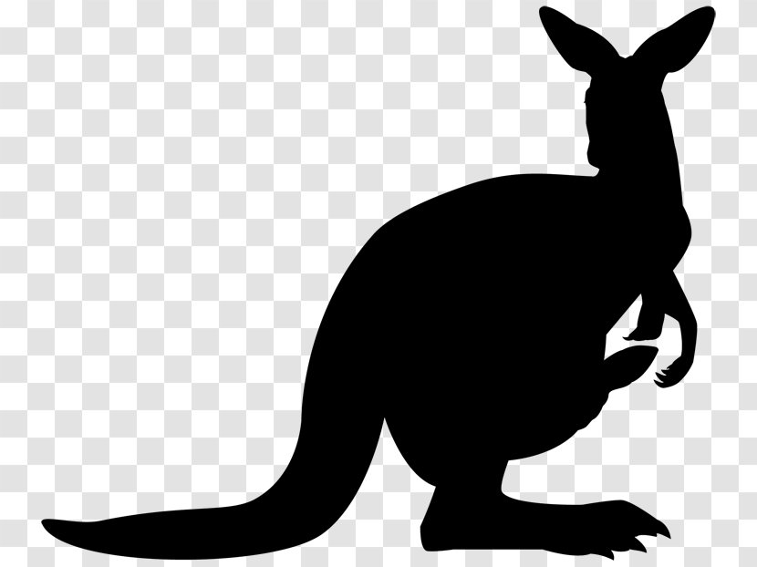 Cat Macropods Hare Clip Art Fauna - Wildlife Transparent PNG