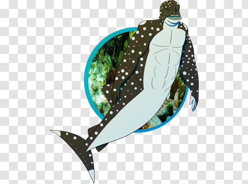 Artist DeviantArt Work Of Art - Vertebrate - Port Jackson Transparent PNG