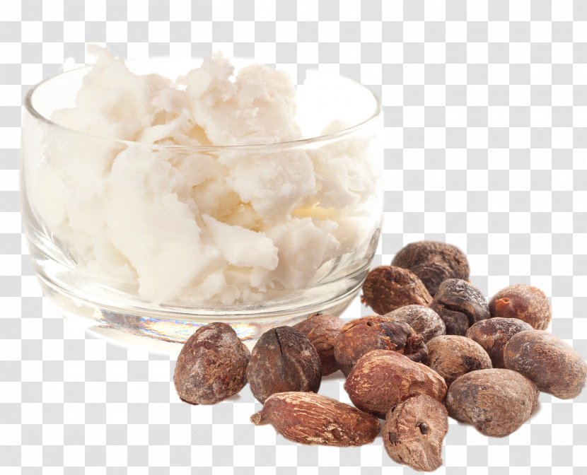 Shea Butter Vitellaria Moisturizer Nut Transparent PNG