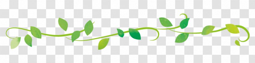 Spring Line - Brand - Green Leaf Line.Others Transparent PNG