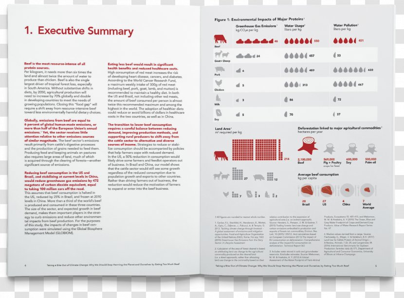 Infographic Graphic Design Mockup - Executive Summary - Report Transparent PNG