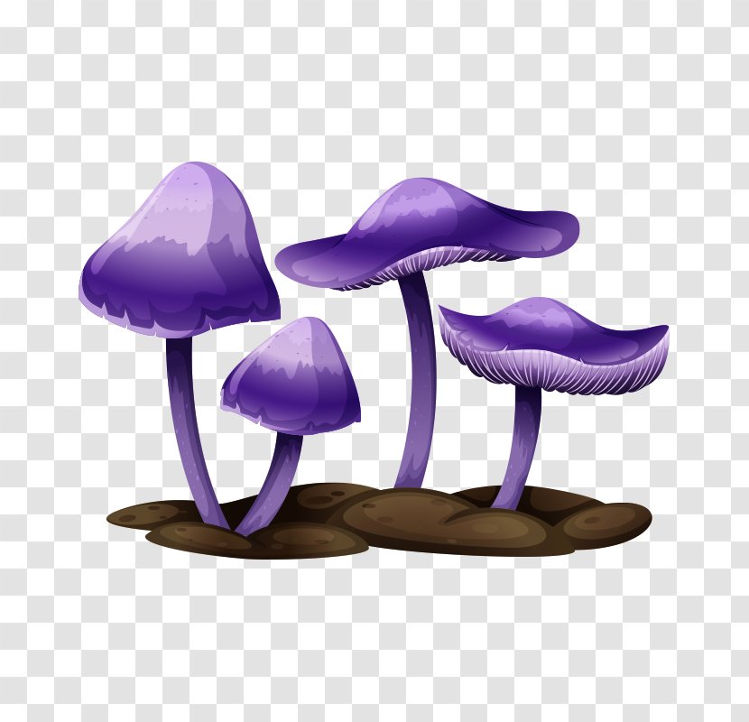 Edible Mushroom Drawing Illustration - Mushroom,fungus Transparent PNG