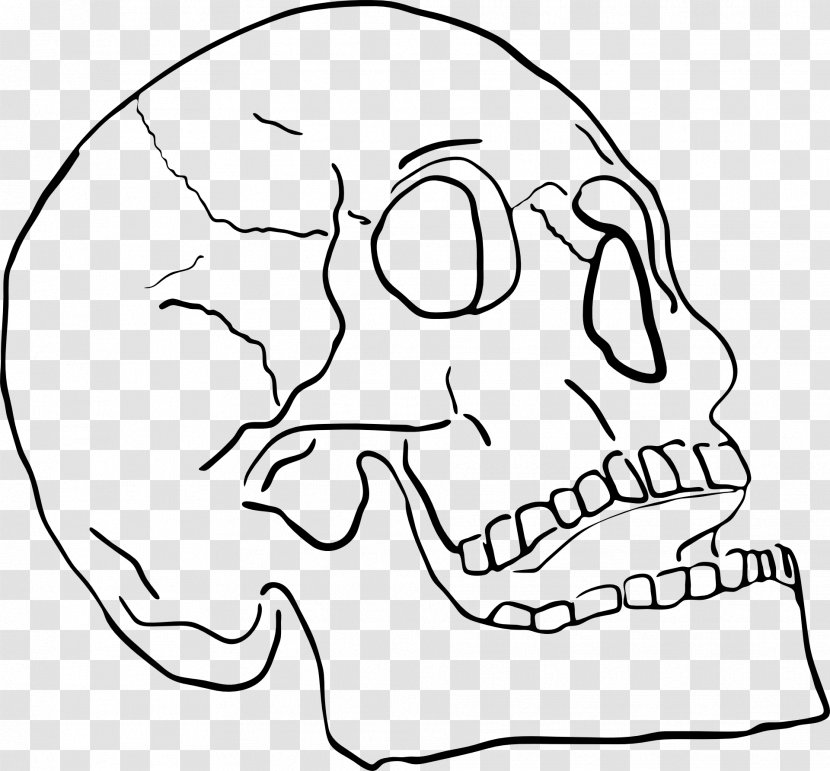 Jaw Skull Sticker Nose - Heart - Bone Transparent PNG