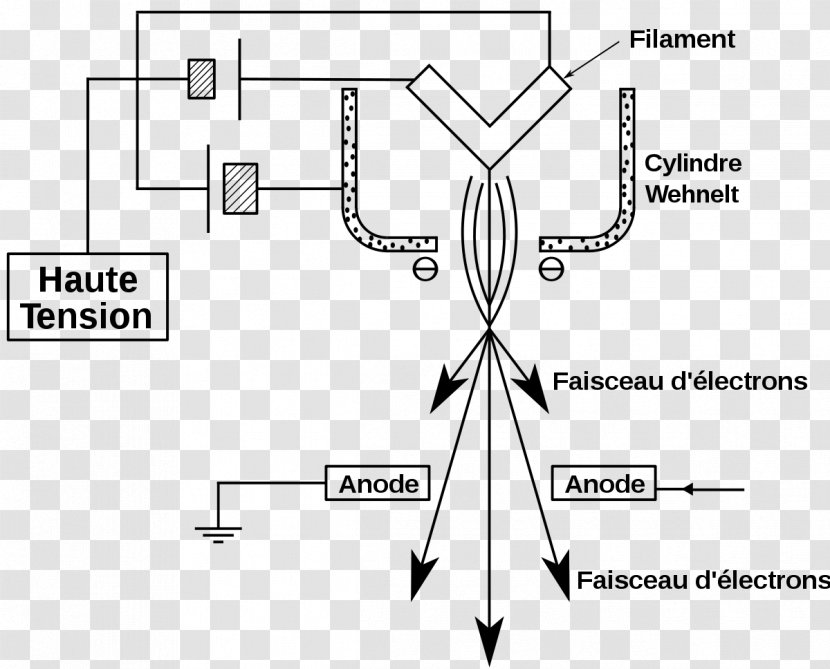 Scanning Electron Microscope Wehnelt Cylinder Gun - Flower Transparent PNG