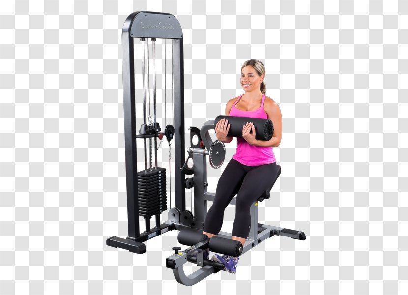 Crunch Hyperextension Exercise Equipment Machine - Flower - Gym Body Transparent PNG