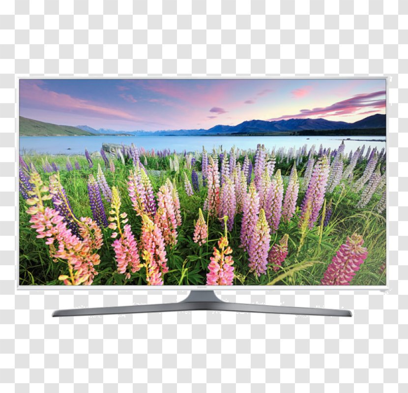 High-definition Television 1080p LED-backlit LCD Samsung Smart TV - Grass Family Transparent PNG