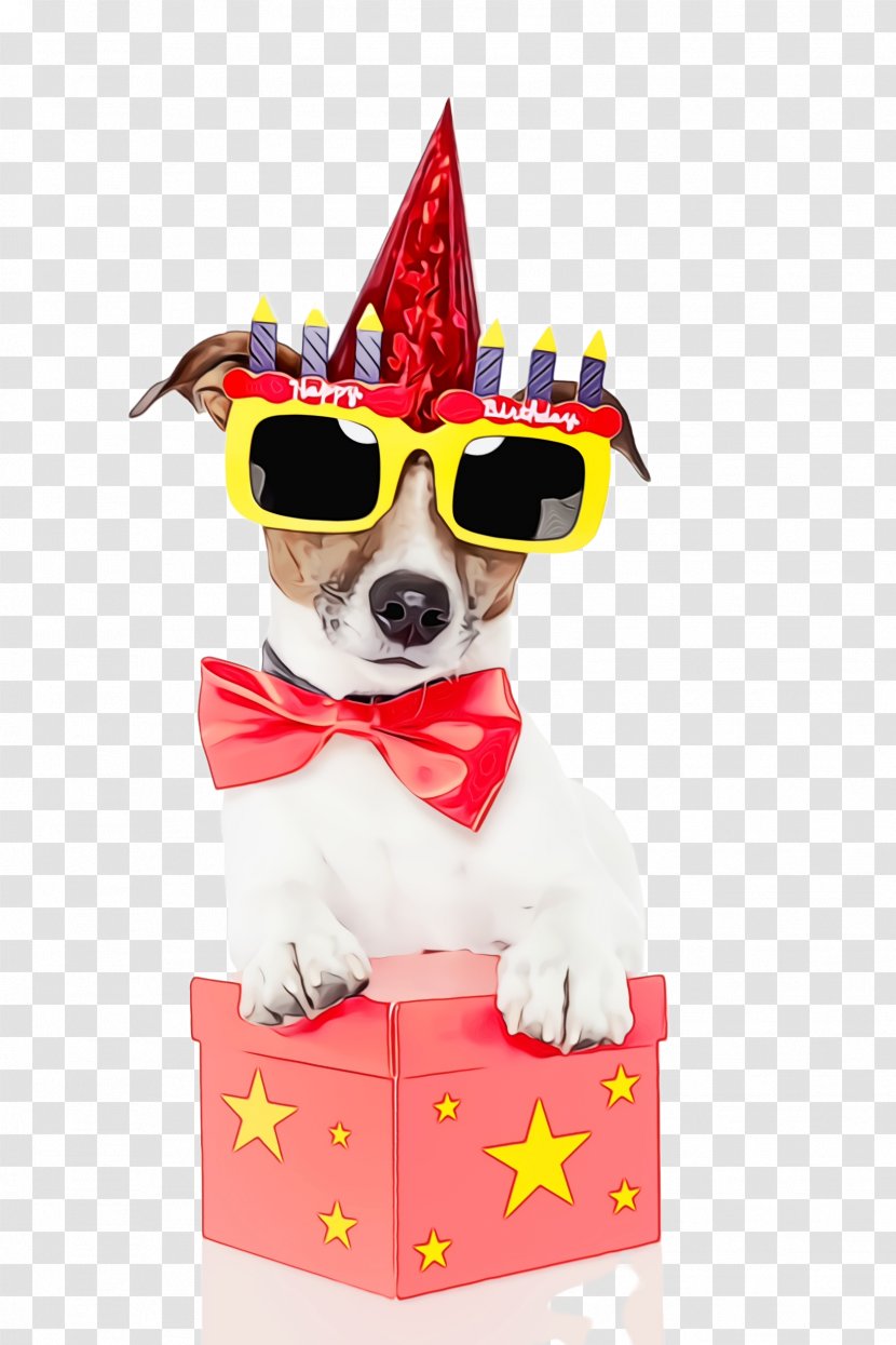 Party Hat - Watercolor - Costume Puppy Transparent PNG