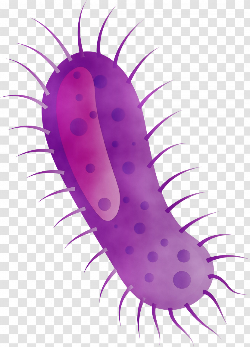 Worm Transparent PNG