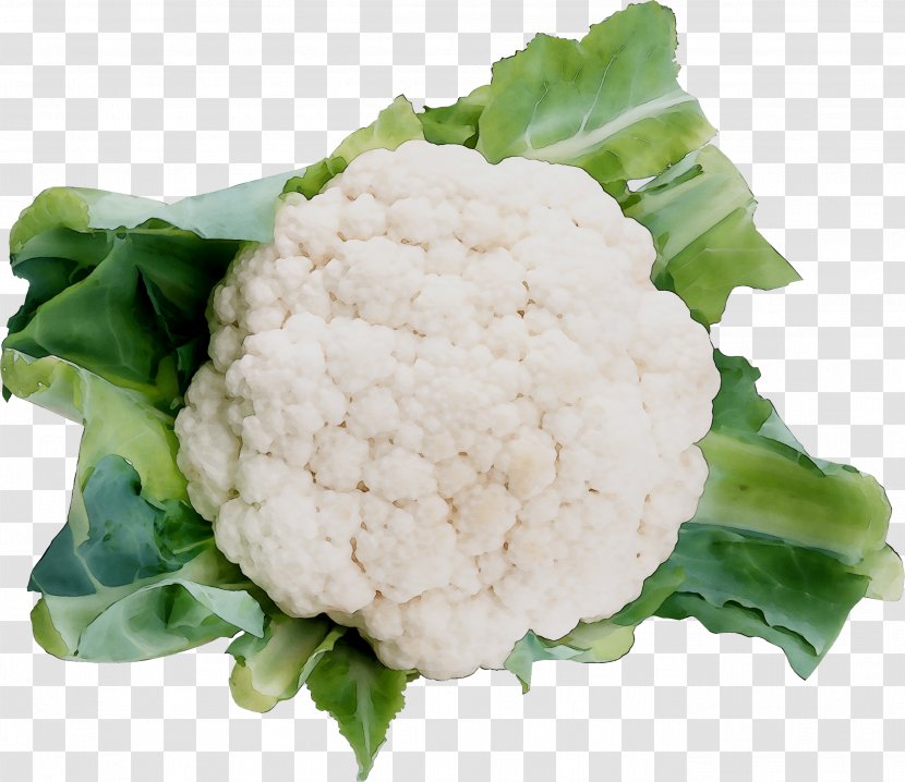 Cauliflower Illustration Royalty-free Stock Photography Euclidean Vector - Vegetarian Cuisine - Royalty Payment Transparent PNG