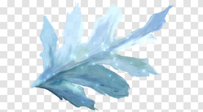 Water Cartoon - Feather Plant Transparent PNG