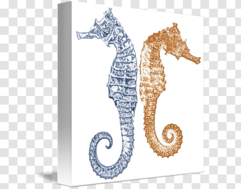 Seahorse Drawing Art Painting Syngnathiformes Transparent PNG