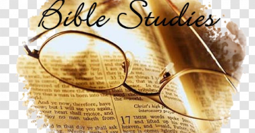 Bible Study Old Testament Gospel Of John Biblical Studies - Wheat Fealds Transparent PNG