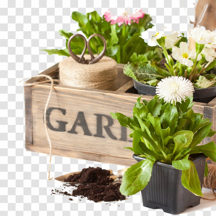 Stock Photography Illustration Floral Design Gardening - Royalty Payment - Container Herb Garden Transparent PNG