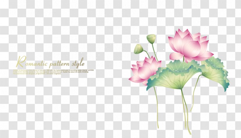Paint - Floristry - Beautiful And Elegant Lotus Decoration Transparent PNG