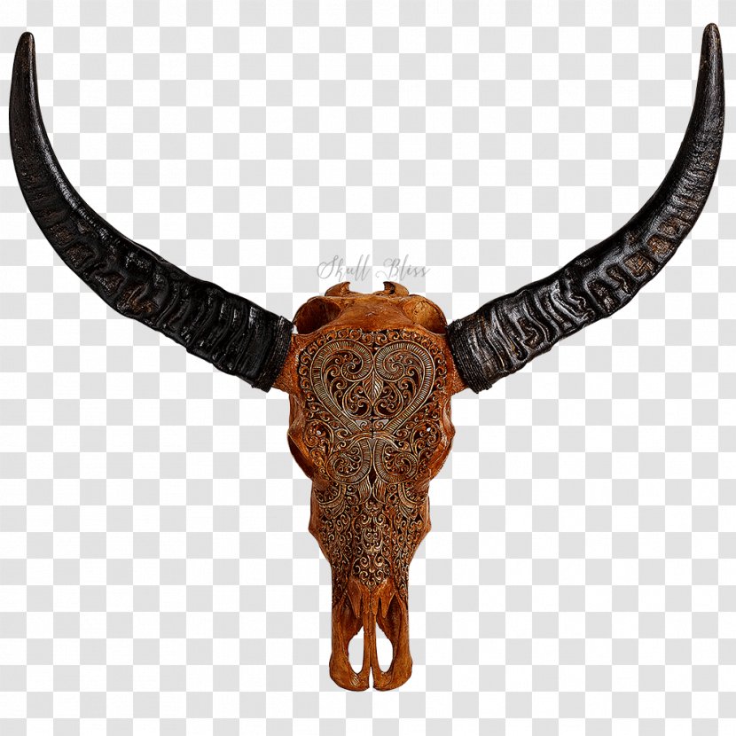 Horn Animal Skulls Antique Carving - Buffalo Skull Transparent PNG