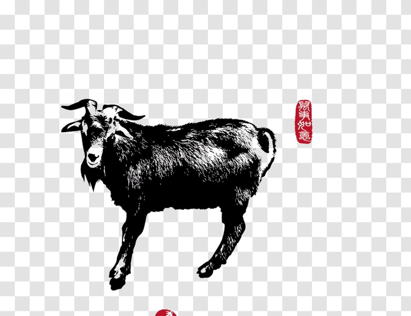 Goat Sheep Illustrator - Zodiac,sheep,animal Transparent PNG