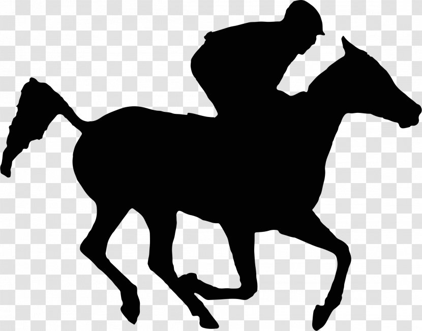 Arabian Horse Thoroughbred Racing Silhouette Clip Art - Colt - Race Transparent PNG