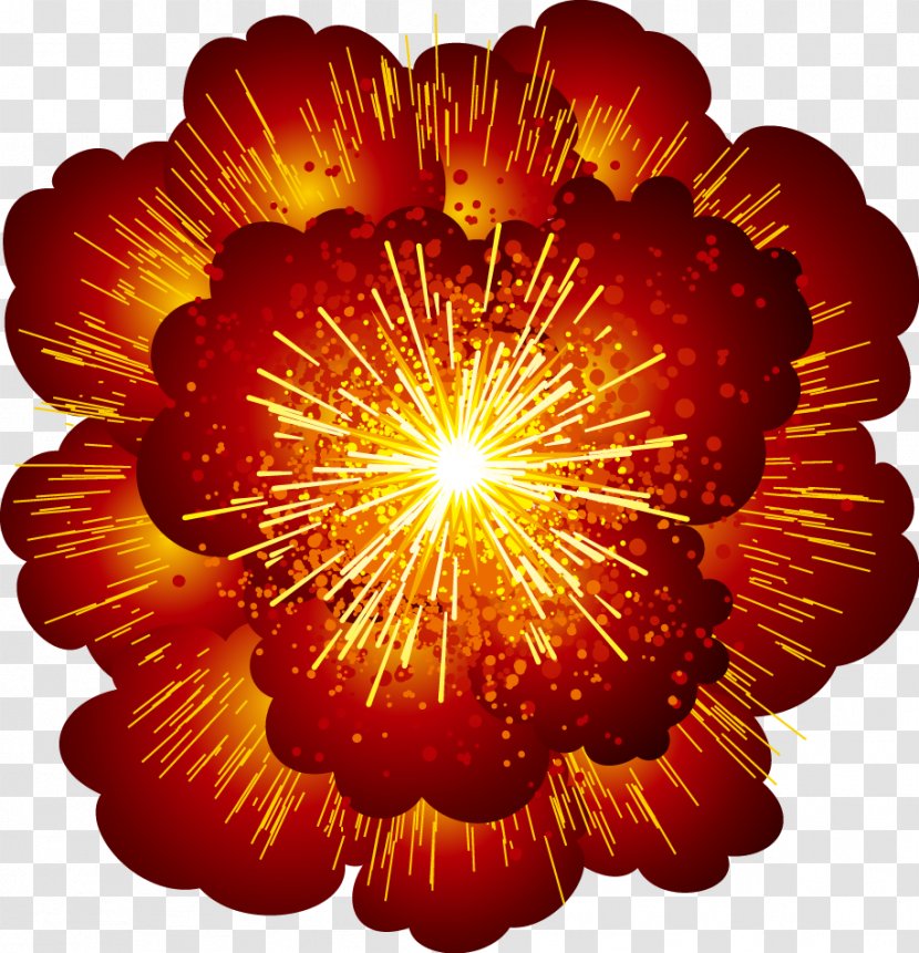 Explosion Cloud Standard - Flowering Plant - Cartoon Transparent PNG