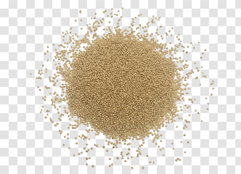 Pseudocereal Rolled Oats Semolina Khorasan Wheat - Amaranth Grain - Sugar Transparent PNG