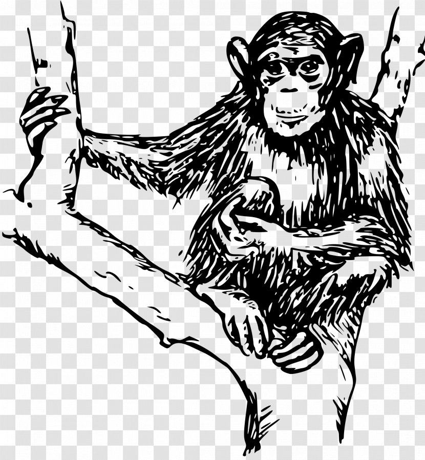 Chimpanzee Ape Primate Monkey Clip Art - Artwork Transparent PNG