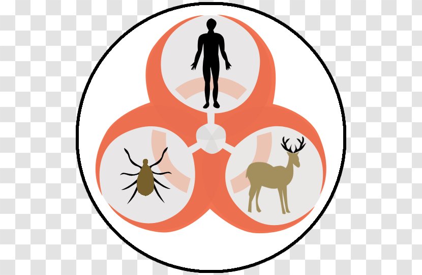 Inferno Biological Hazard Symbol Biology Sign - Decal - Disease Transparent PNG