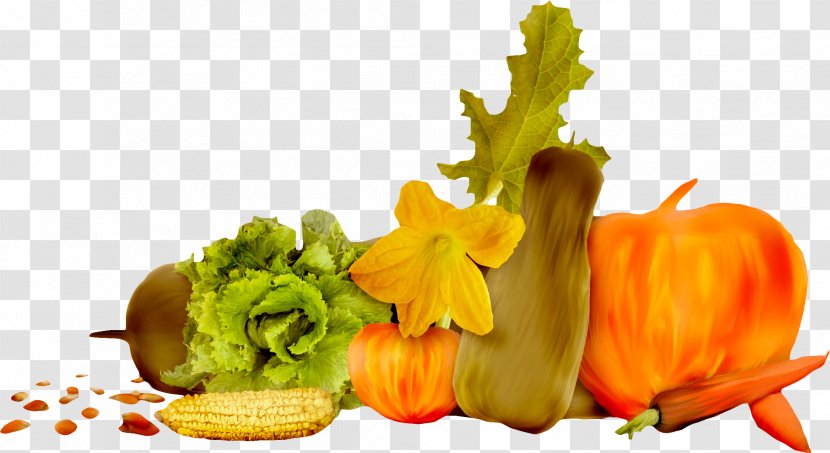 Gourd Winter Squash Vegetable Pumpkin Zucchini Transparent PNG