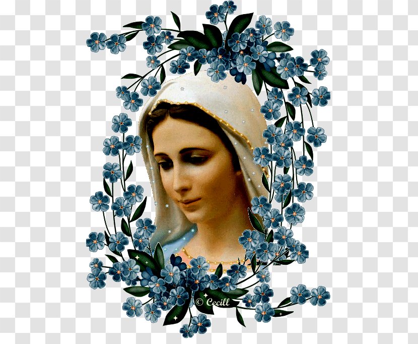 Mary Our Lady Mediatrix Of All Graces Prayer Salve Regina Infinitas Graças Vos Damos - Flower Transparent PNG